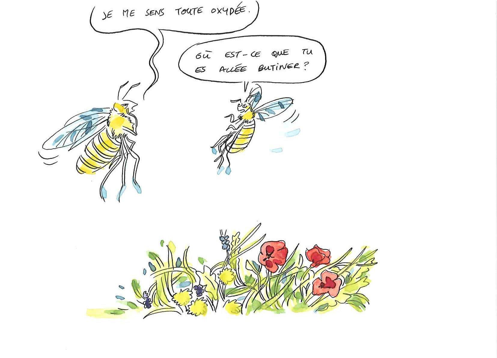 Illustration d'Agnès Maupré pendant la conférence dessinée de Luc Belzunces