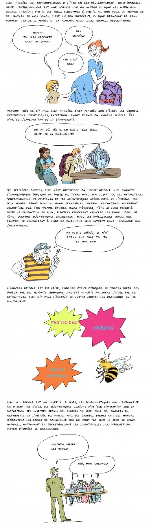 Une anthropologue chez les abeilles