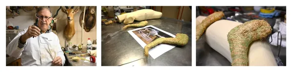  Réalisation des pattes à l'aide de fils de fer et de fibres