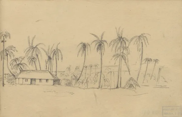 Île de la Barbade (Antilles), C.-A. Lesueur, 1816 - Lorsque Lesueur et Maclure font escale aux Antilles fin décembre 1815, Lesueur dessine des plantations : on y reconnaît des esclaves noirs. Les bords de mer sont un lieu de collecte d’animaux marins