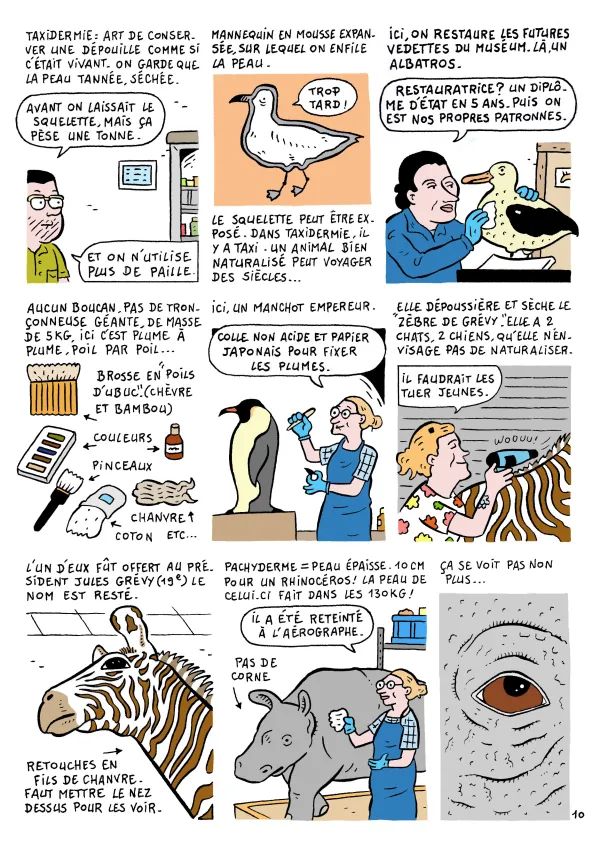 Le chantier du musée en BD : épisode 5 " Le chantier invisible "