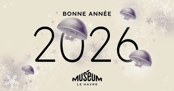 Voeux 2026