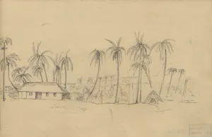 Île de la Barbade (Antilles), C.-A. Lesueur, 1816 - Lorsque Lesueur et Maclure font escale aux Antilles fin décembre 1815, Lesueur dessine des plantations : on y reconnaît des esclaves noirs. Les bords de mer sont un lieu de collecte d’animaux marins