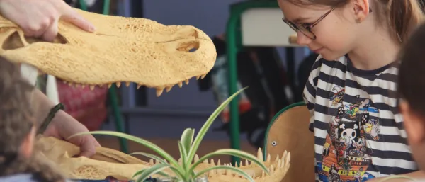 Atelier " Les animaux du monde "