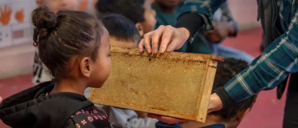 Atelier "les secrets des abeilles"