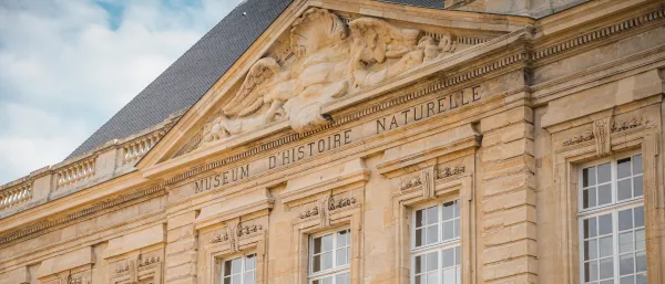 Muséum d'Histoire Naturelle du Havre