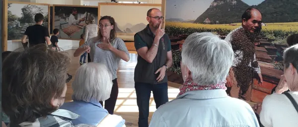 Visite guidée Les abeilles