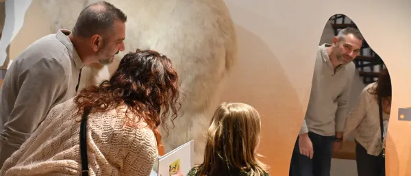 Biodiversité actuelle - Podium des animaux