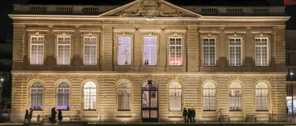 Nuit des musées 
