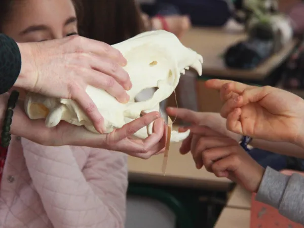 Atelier Cric, crac, croc