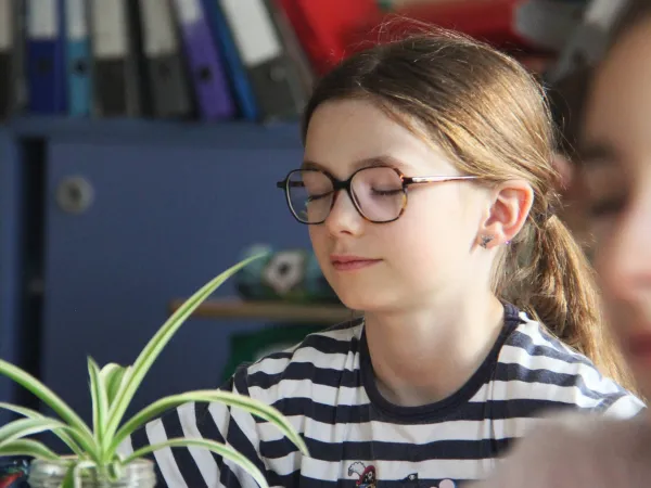 Atelier sonore, Les animaux du monde