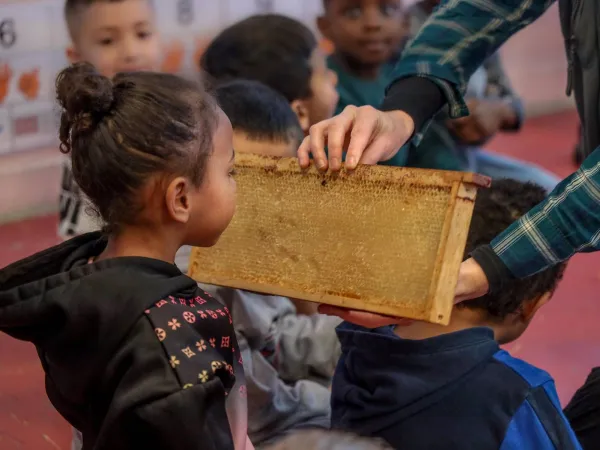 Le secret des abeilles