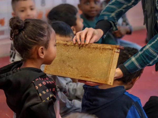 Atelier "Les secrets des abeilles"