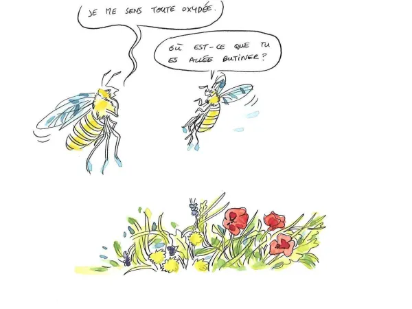Les pesticides et les abeilles