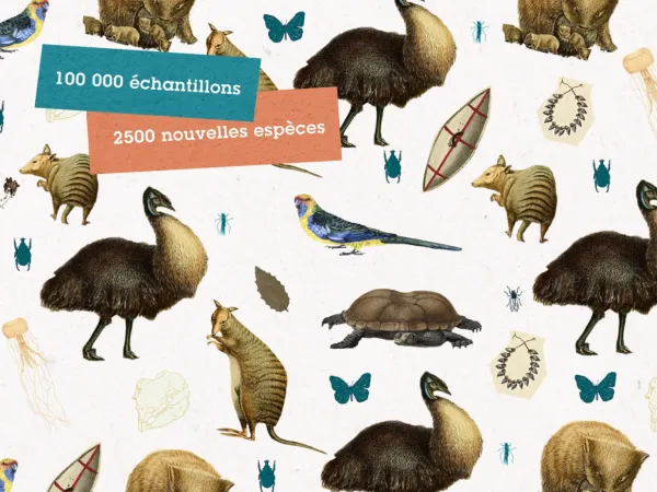 Les collectes naturalistes