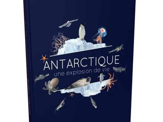 Antarctique, une explosion de vie