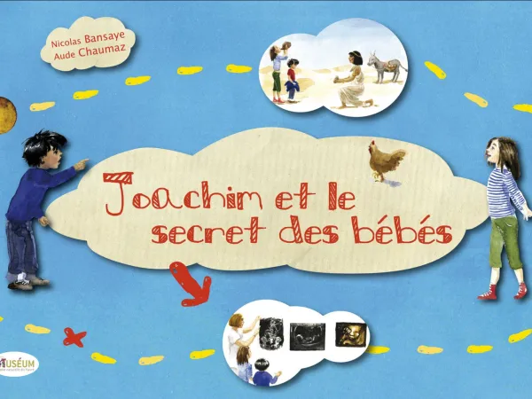 Joachim et le secret des bébés