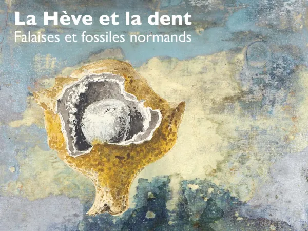 Regards, la Hève et la dent