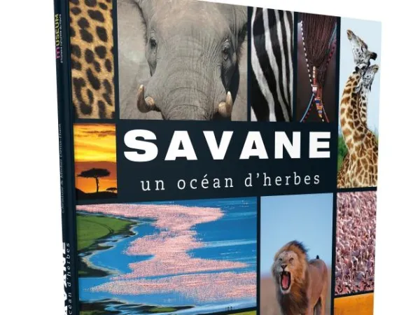 Savane