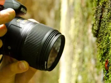 Exposition " Cap sur la biodiversité "