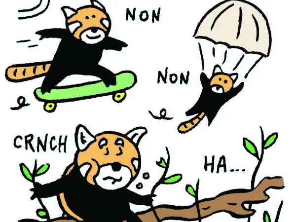 Le chantier du musée en BD : épisode 6 " Le métier de taxidermiste "