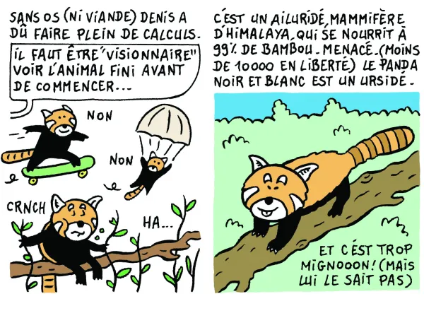 Le chantier du musée en BD : épisode 6 " Le métier de taxidermiste "