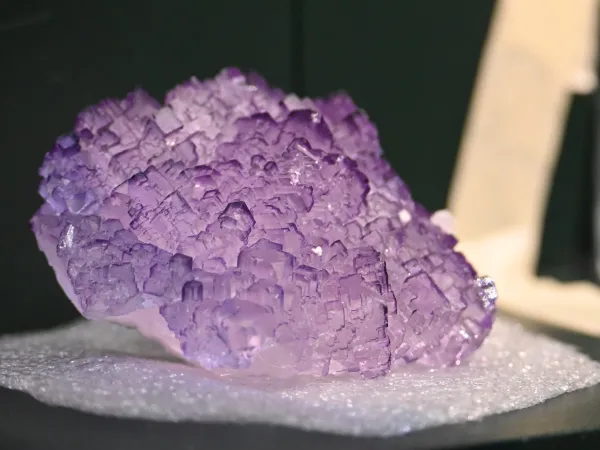 Galerie des minéraux - Fluorine