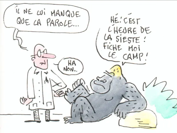 Conférence Gare aux gorilles