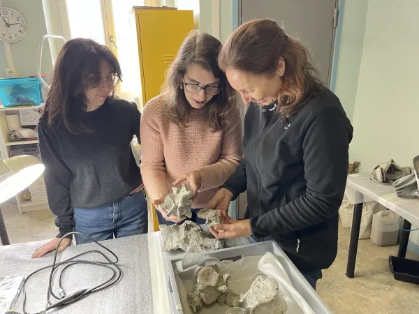 Et, après tant de labeur, la salle présente enfin les conditions optimales pour vous accueillir !  POUR ALLER PLUS LOIN  Venez assister à une visite guidée de l’exposition par Anne Liénard, conservatrice du Muséum et spécialiste des arts d’Afrique. (Réser