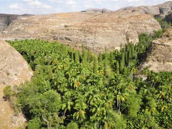 Exposition " Cap sur la biodiversité "