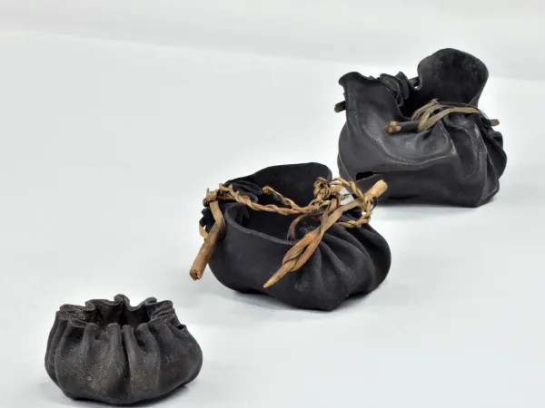 Sacs en algues de Tasmanie