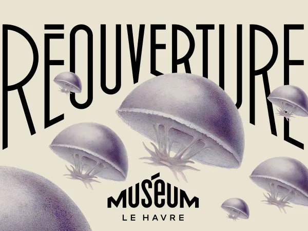 Réouverture du Muséum - 13 et 14 décembre