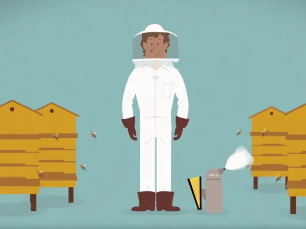 Abeilles, produits de la ruche