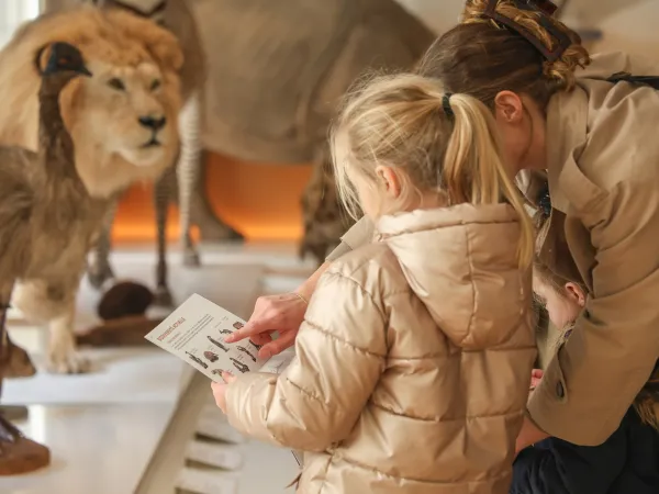 Biodiversité actuelle - Carnet découverte