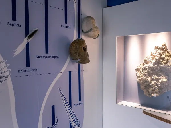 Echelle des temps géologiqued