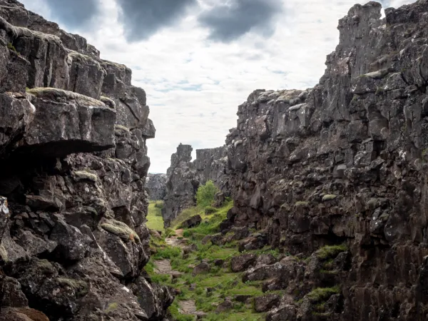 La tectonique des plaques