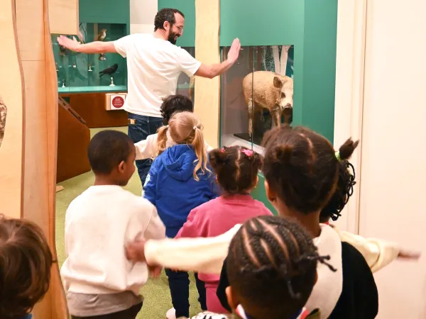 Atelier La forêt en mouvement