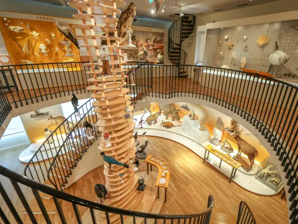 Salle biodiversité actuelle