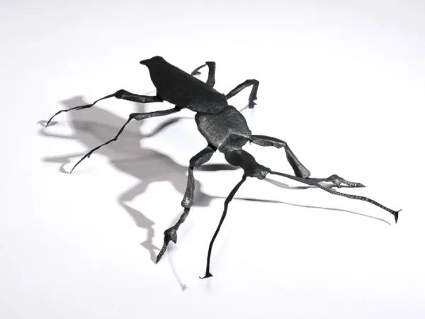 Insecte en papier