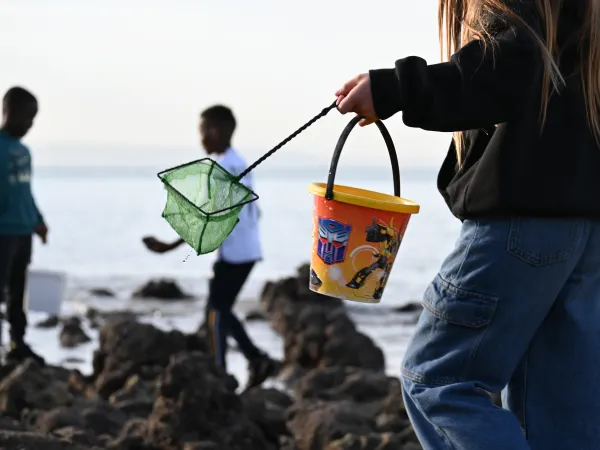 Explorons l'estran, pêche à pied