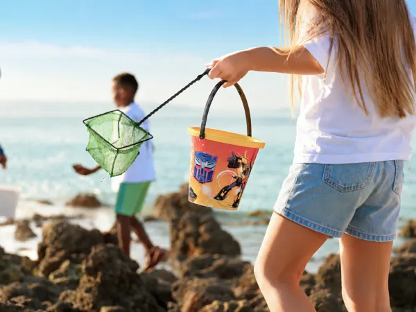 Sortie Pêche à pied