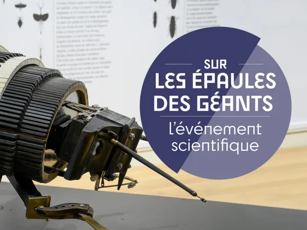 Sur les épaules des géants - Carte blanche Muséum