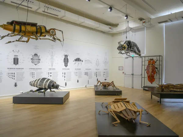 Exposition ANIMA(EX)MUSICA