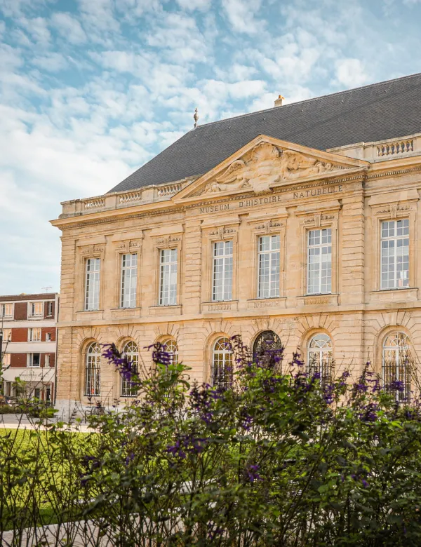 Muséum d'histoire naturelle du Havre