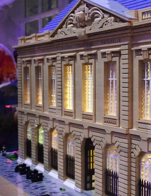 Muséum en LEGO, de Pascal (association FreeLUG)