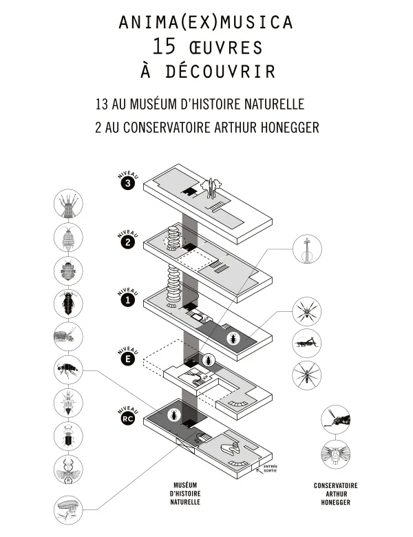 Plan des salles - ANIMA(EX)MUSICA